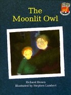 Richard Brown - The Moonlit Owl