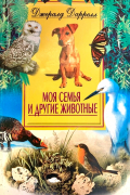 Джералд Даррелл - Моя семья и другие животные