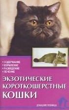 Зубкова - Экзотические короткошерстные кошки. Стандарты. Содержание. Разведение. Профилактика заболеваний