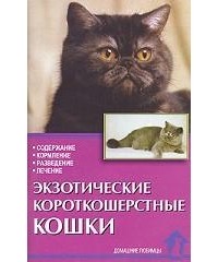 Зубкова - Экзотические короткошерстные кошки. Стандарты. Содержание. Разведение. Профилактика заболеваний