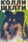 Колли и шелти