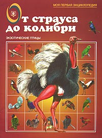 В. Г. Бабенко - От страуса до колибри. Экзотические птицы