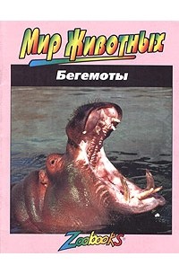 Бегемоты