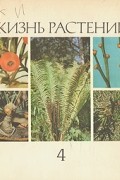  - Жизнь растений. Энциклопедия в шести томах. Том 4. Мхи. Плауны. Хвощи. Папоротники. Голосемянные