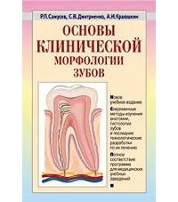  - Основы клинической морфологии зубов