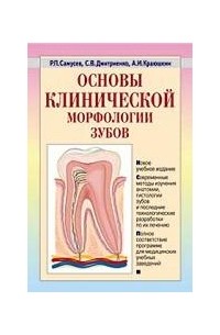  - Основы клинической морфологии зубов