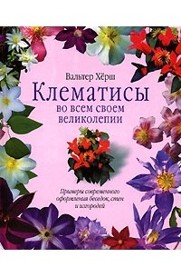Клематисы во всем своем великолепии