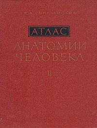 Рафаил Синельников - Атлас анатомии человека. В трех томах. Том 2