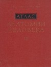 Рафаил Синельников - Атлас анатомии человека. В трех томах. Том 3.