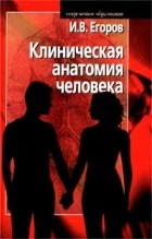 И. В. Егоров - Клиническая анатомия человека