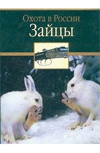Зайцы