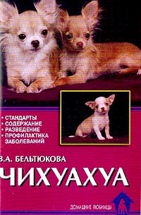 Чихуахуа. Стандарты, содержание, разведение, профилактика заболеваний