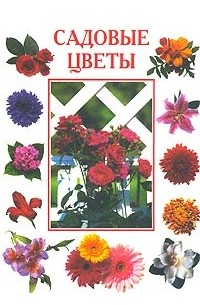 Жакова - Садовые цветы