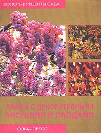 Мая Александрова - Лианы с декоративными листьями и плодами