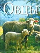 Хуго Ридер - Овцы