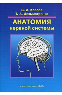  - Анатомия нервной системы