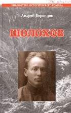 Андрей Воронцов - Шолохов