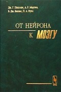  - От нейрона к мозгу