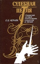Е. Б. Черняк - Судебная петля. Секретная история политических процессов на Западе