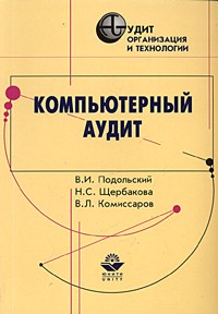  - Компьютерный аудит