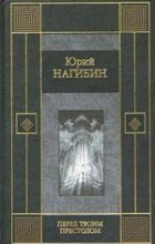 Юрий Нагибин - Перед твоим престолом (сборник)