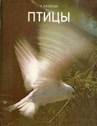 Р. Питерсон - Птицы