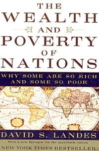 Дэвид С. Лэндис - The Wealth and Poverty of Nations: Why Some Are So Rich and Some So Poor