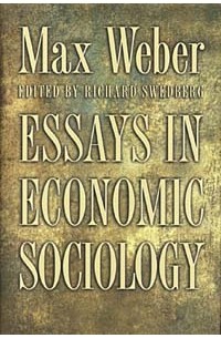  - Essays in Economic Sociology