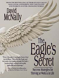 Дэвид Макнелли - The Eagle's Secret