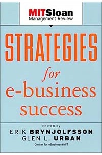  - Strategies for E-Business Success