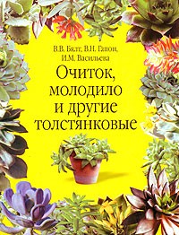  - Очиток, молодило и другие толстянковые