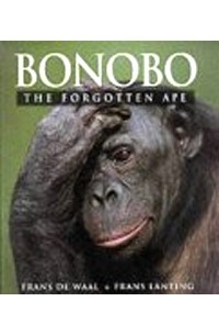 Bonobo: The Forgotten Ape