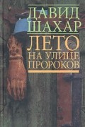 Давид Шахар - Лето на улице пророков