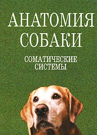  - Анатомия собаки: Соматические системы: Учебник