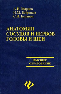  - Анатомия сосудов и нервов головы и шеи