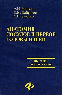  - Анатомия сосудов и нервов головы и шеи