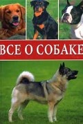  - Все о собаке