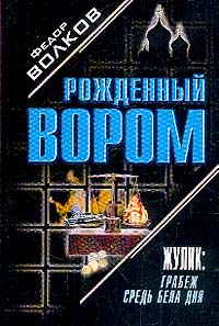Федор Волков - Жулик: Грабеж средь бела дня: Роман