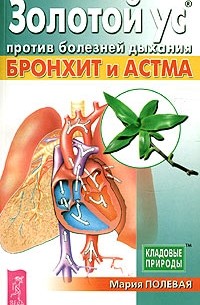 Мария Полевая - Золотой ус против болезней дыхания. Бронхит и астма