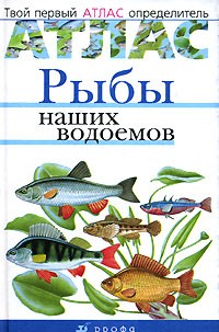  - Рыбы наших водоемов