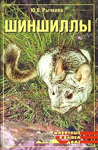 Ю. В. Рычкова - Шиншиллы