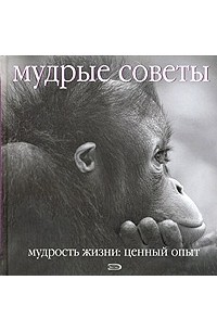 Мудрые советы. Мудрость жизни: ценный опыт