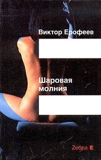 Виктор Ерофеев - Шаровая молния (сборник)