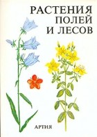 Вацлав Ветвичка - Растения полей и лесов
