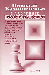 Н. М. Калиниченко - В лабиринте шахматной стратегии