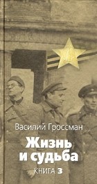 Василий Гроссман - Жизнь и судьба. Книга 3
