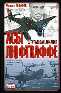 Михаил Зефиров - Асы Люфтваффе. Штурмовая авиация