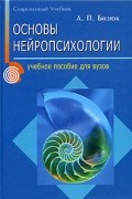 Основы нейропсихологии