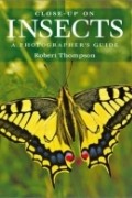 Robert Thompson - Close-Up on Insects: A Photographer&#039;s Guide