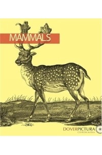 Dover - Mammals (Dover Pictura)